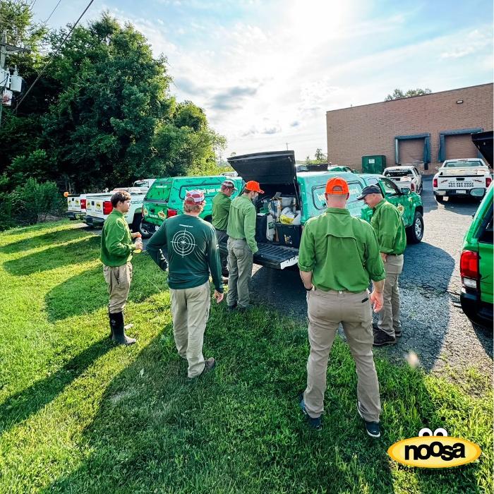 Noosa Pest Management LLC Image