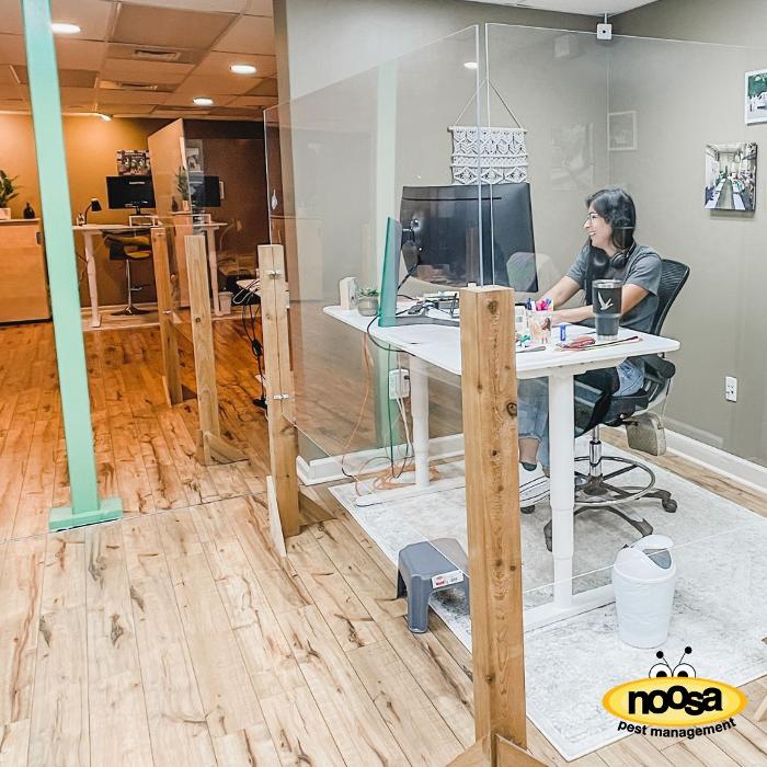 Noosa Pest Management LLC Image