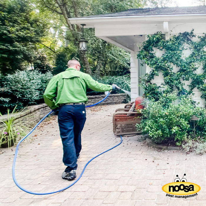 Noosa Pest Management LLC Logo