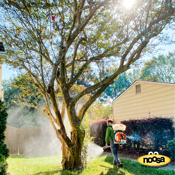 Noosa Pest Management LLC Image