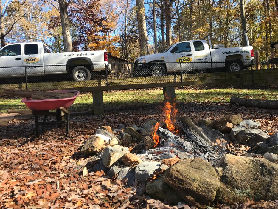 Noosa Pest Management LLC Image