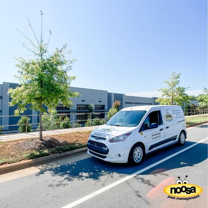 Noosa Pest Management LLC Image