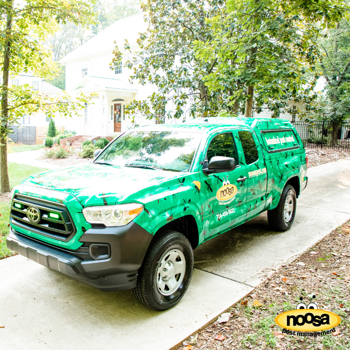 Noosa Pest Management LLC Image