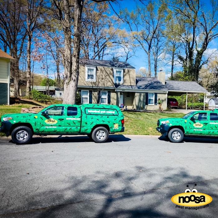 Noosa Pest Management LLC Image