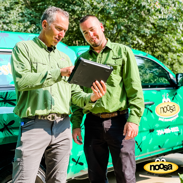 Noosa Pest Management LLC Image