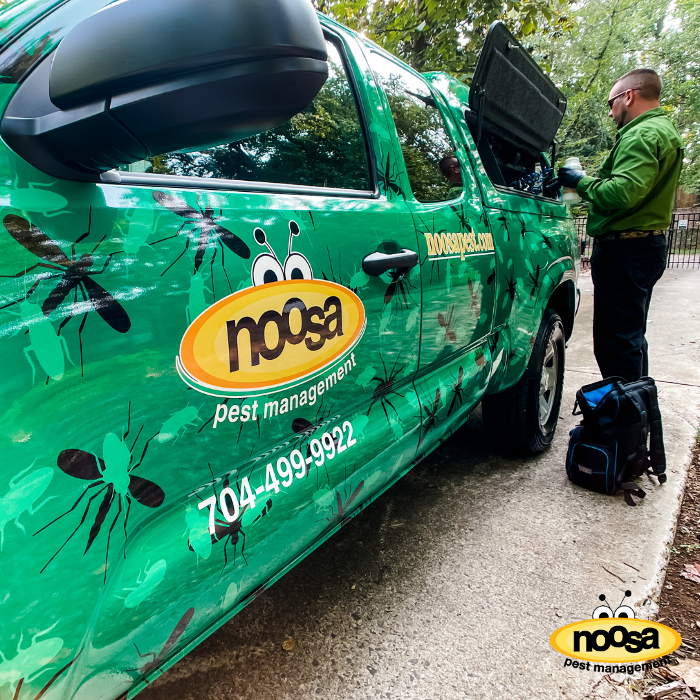 Noosa Pest Management LLC Image