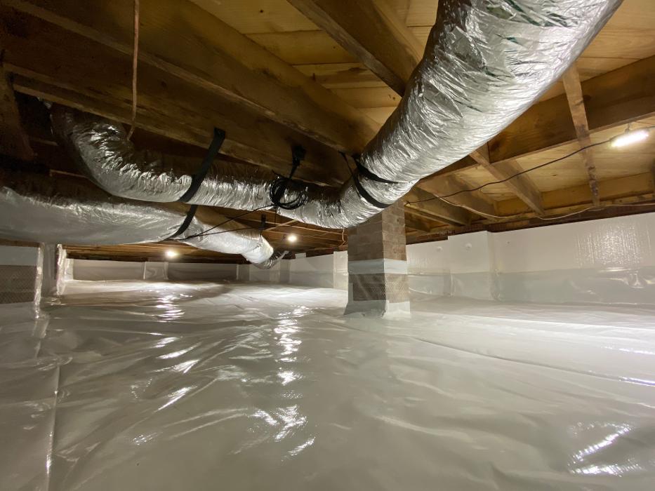 Noosa Pest Management LLC Image