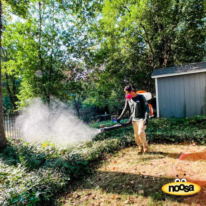 Noosa Pest Management LLC Image