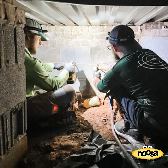 Noosa Pest Management LLC Image