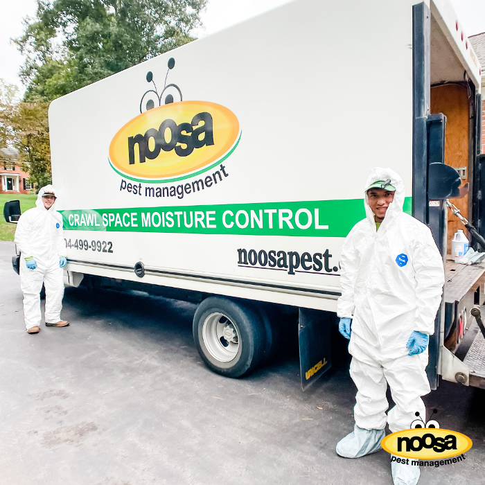 Noosa Pest Management LLC Image