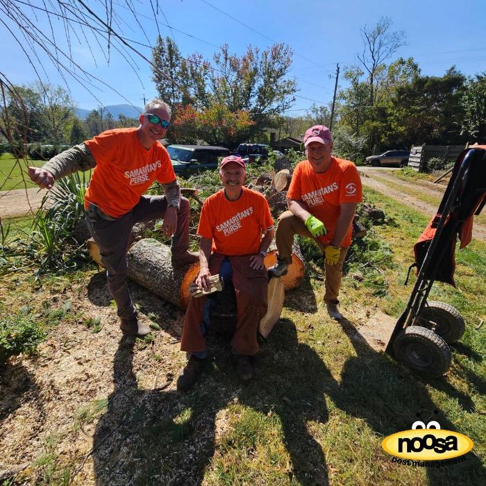 Noosa Pest Management LLC Image