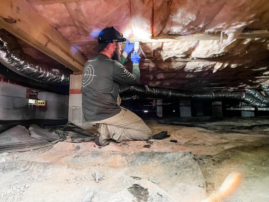 Noosa Pest Management LLC Image