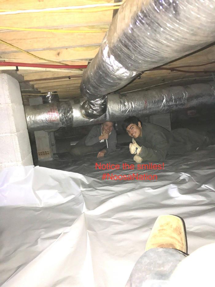 Noosa Pest Management LLC Image