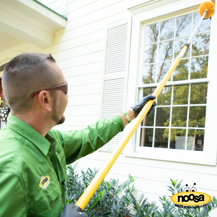 Noosa Pest Management LLC Image