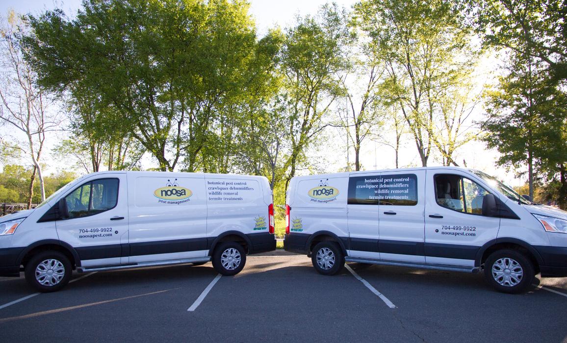 Noosa Pest Management LLC Image