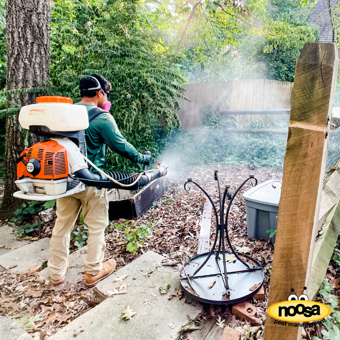 Noosa Pest Management LLC Image