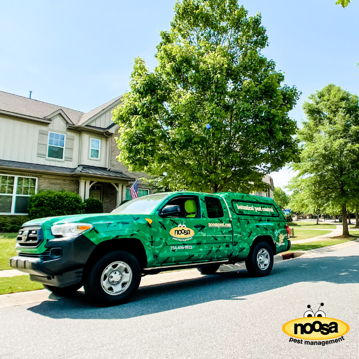 Noosa Pest Management LLC Image