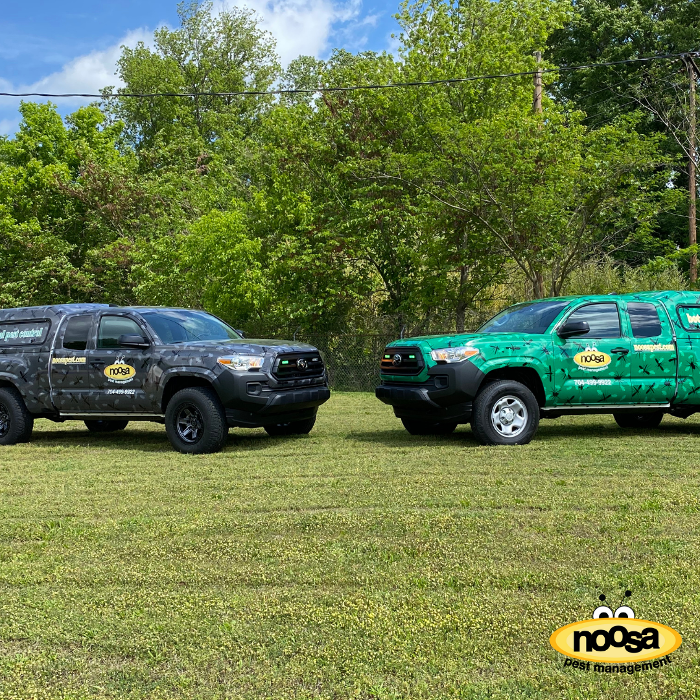 Noosa Pest Management LLC Image