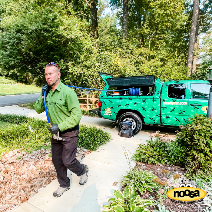 Noosa Pest Management LLC Image