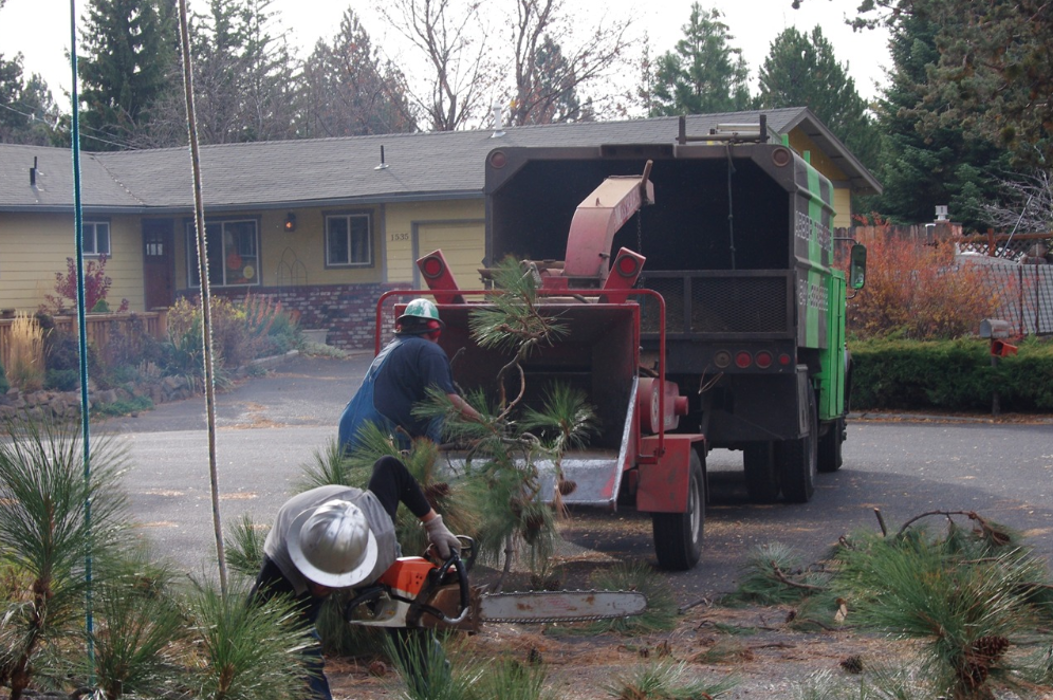 Arbor Tree Care LLC Image