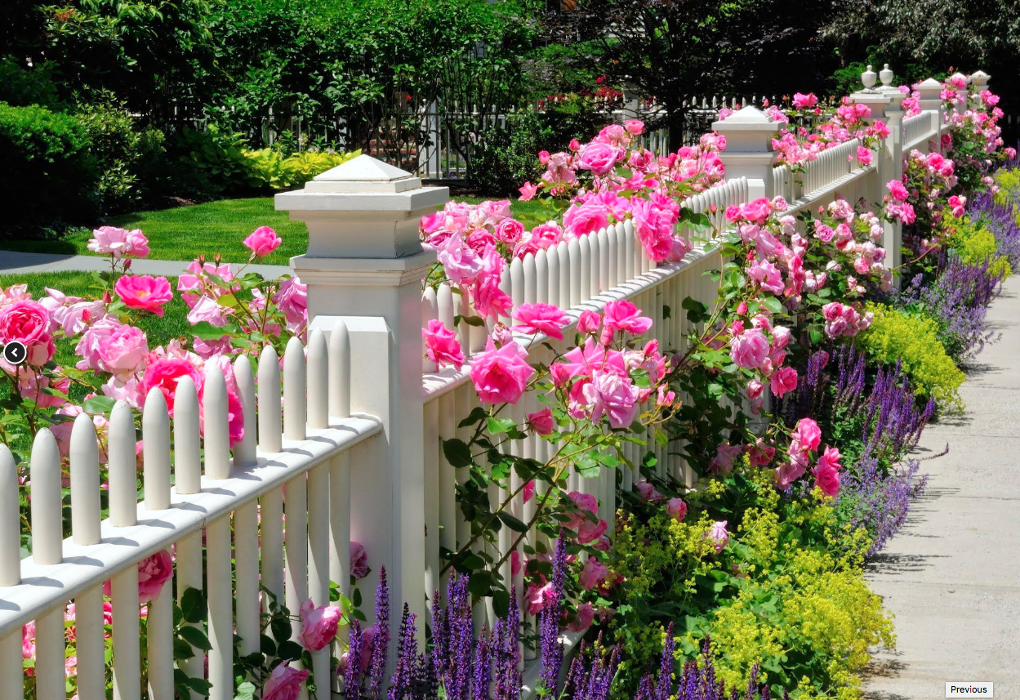 Barron Landscaping Inc Image