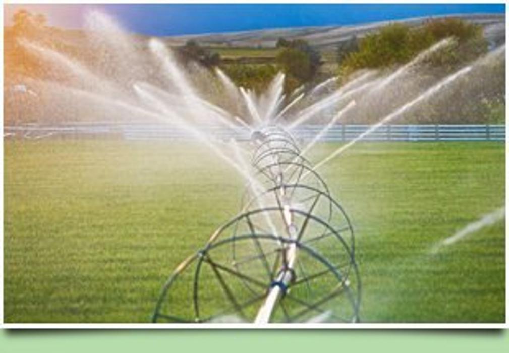 Cane Cutters Landscaping Image