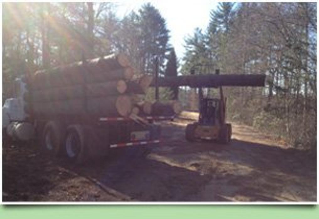 Cane Cutters Landscaping Image