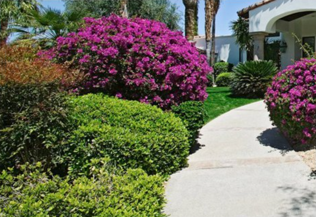 Cane Cutters Landscaping Image