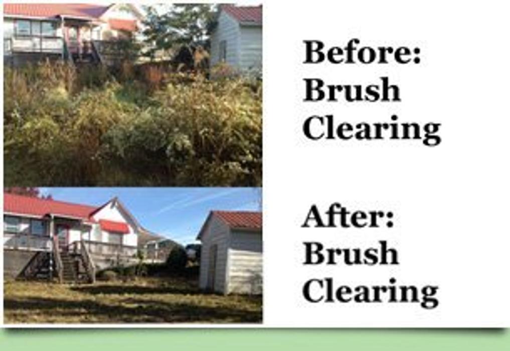 Cane Cutters Landscaping Image