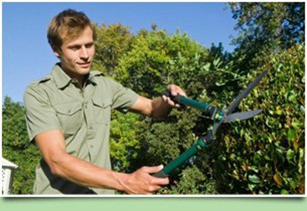 Cane Cutters Landscaping Image