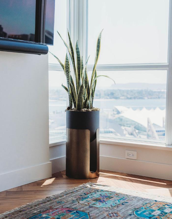 Charles Taylor Interior Design - Solana Beach, CA