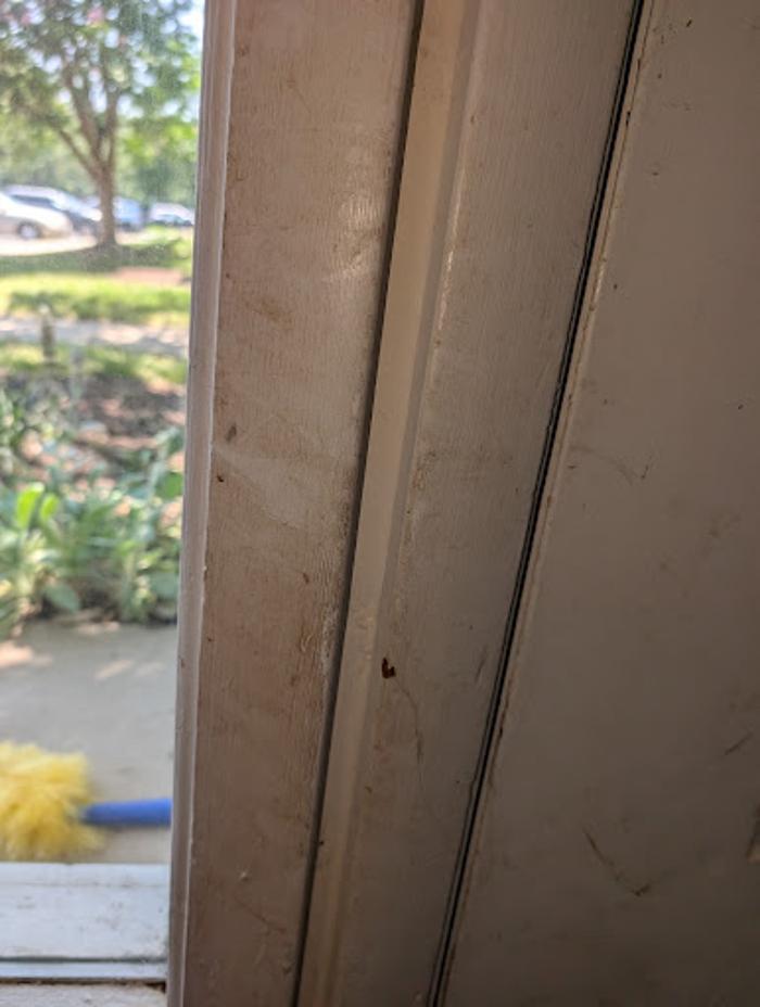 TNT Cleaning LLC - Williamsburg, VA