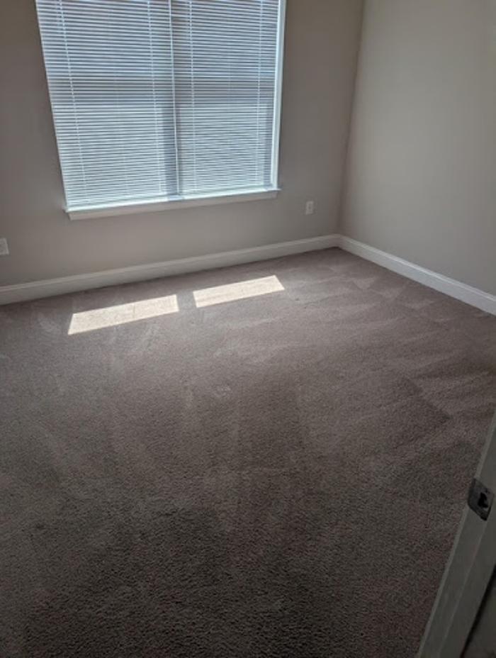 TNT Cleaning LLC - Williamsburg, VA