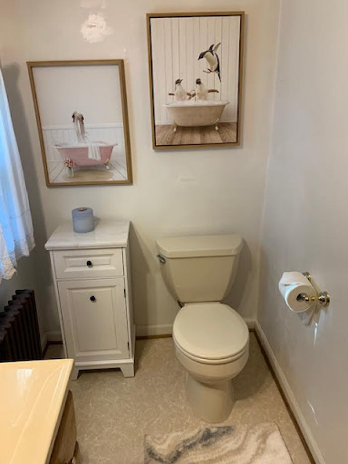TNT Cleaning LLC - Williamsburg, VA