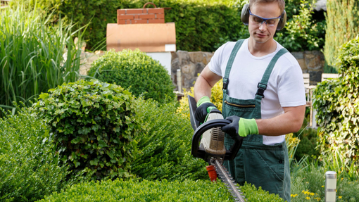 BaumGarten Inh. Marko Baumgarten | Garten- und Landschaftsbau, Wriezener Straße in Letschin