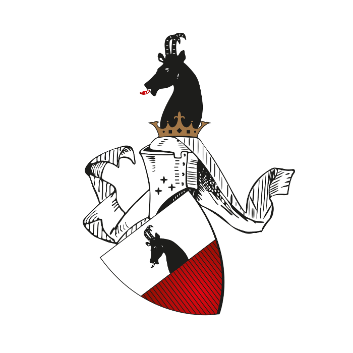 Hotel Schloss Mittersill in Mittersill