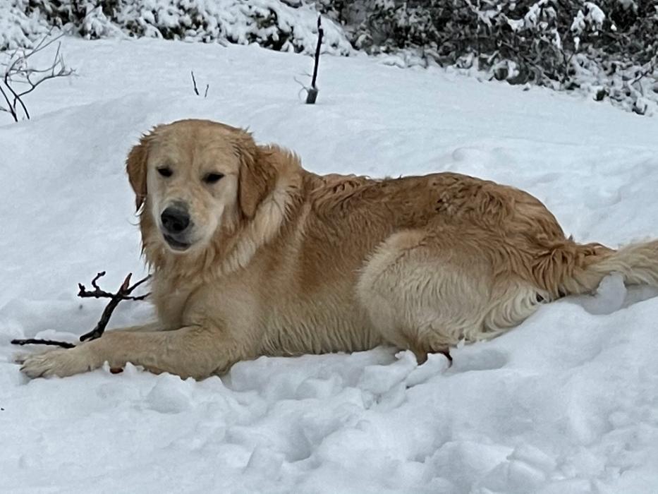 Christopher Fauver DDS Comprehensive Dentistry and Oral Wellness - Chester, VT