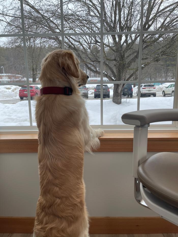 Christopher Fauver DDS Comprehensive Dentistry and Oral Wellness - Chester, VT