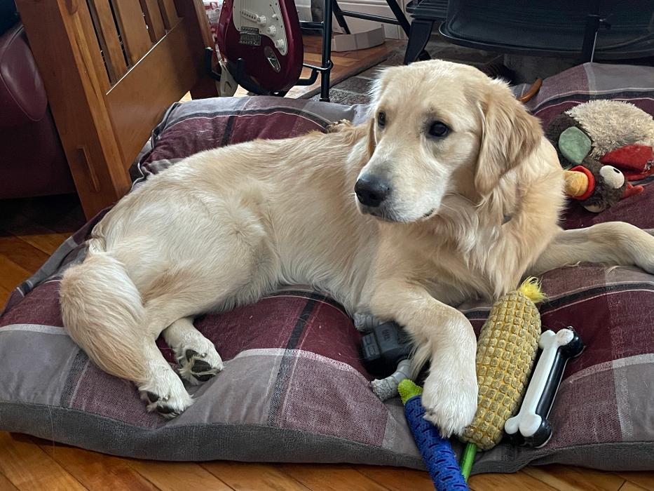 Christopher Fauver DDS Comprehensive Dentistry and Oral Wellness - Chester, VT