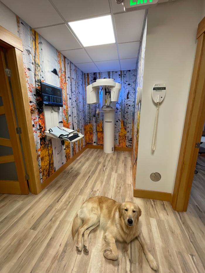 Christopher Fauver DDS Comprehensive Dentistry and Oral Wellness - Chester, VT