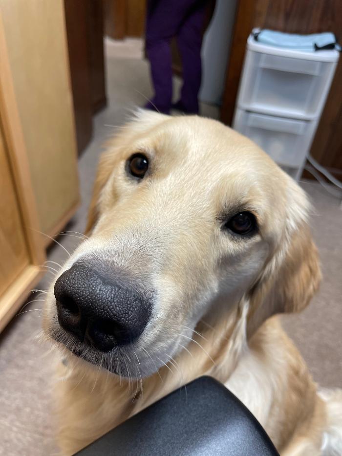 Christopher Fauver DDS Comprehensive Dentistry and Oral Wellness - Chester, VT