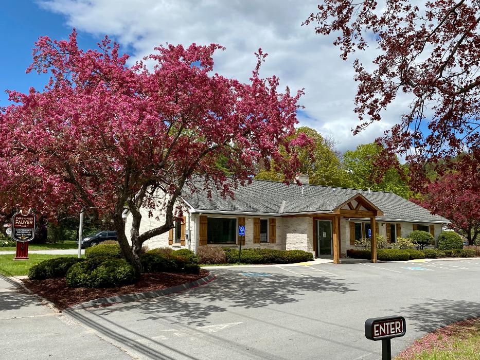 Christopher Fauver DDS Comprehensive Dentistry and Oral Wellness - Chester, VT