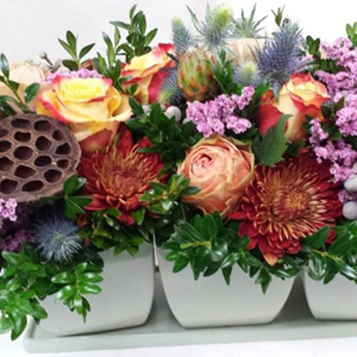 Coll's Garden Center & Florist of Jaffrey, LLC - Jaffrey, NH