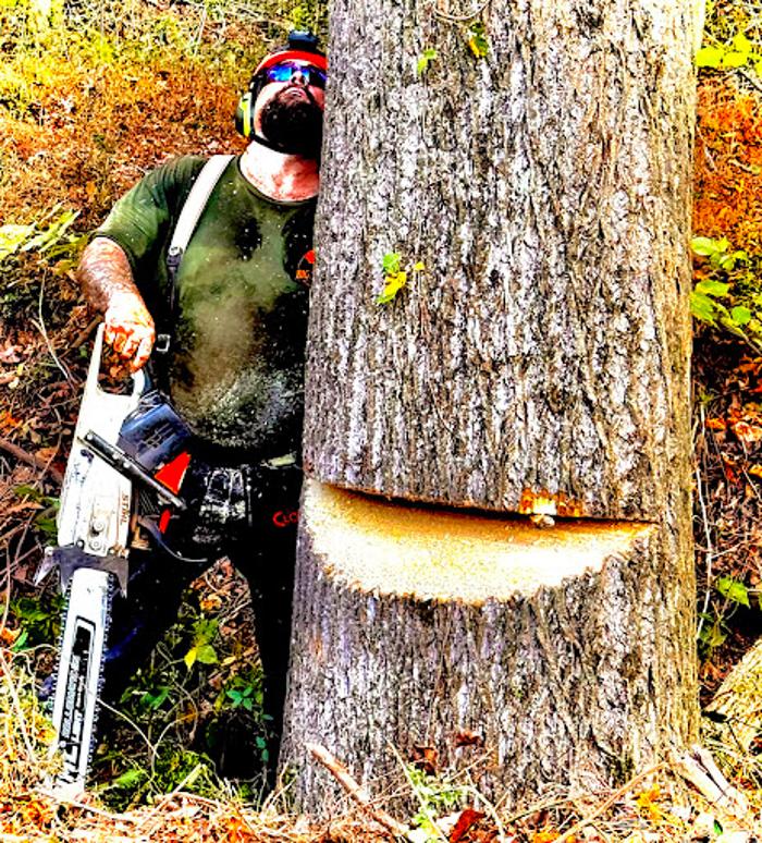 Big South Land & Tree LLC - Jefferson, GA