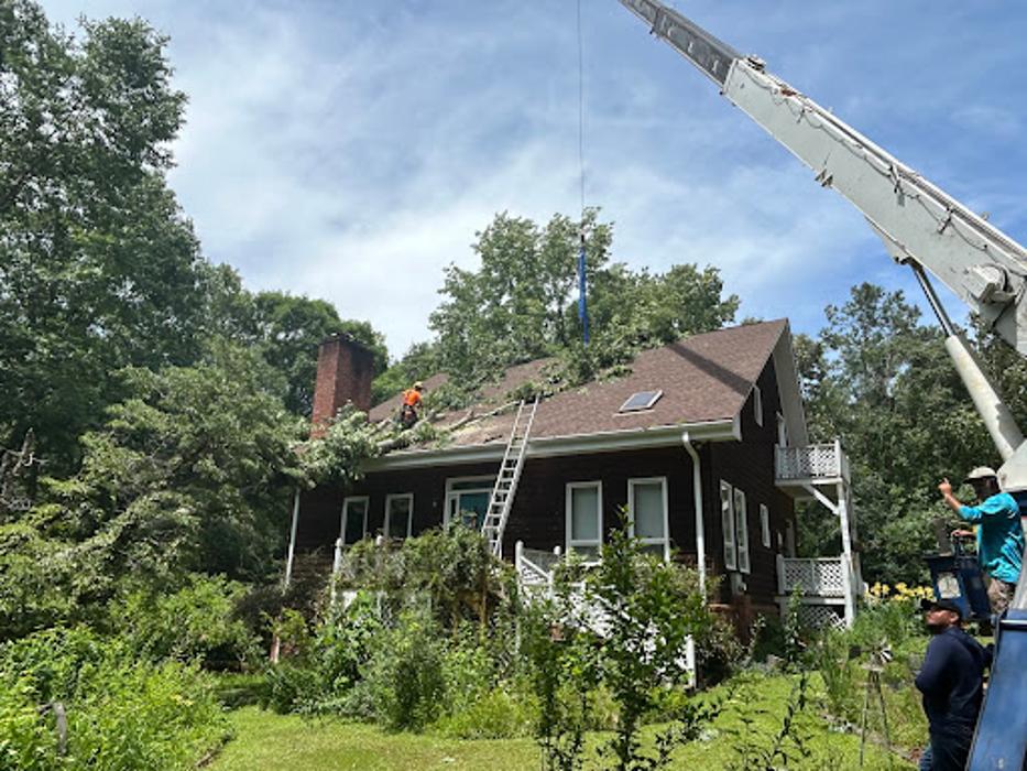 Big South Land & Tree LLC - Jefferson, GA