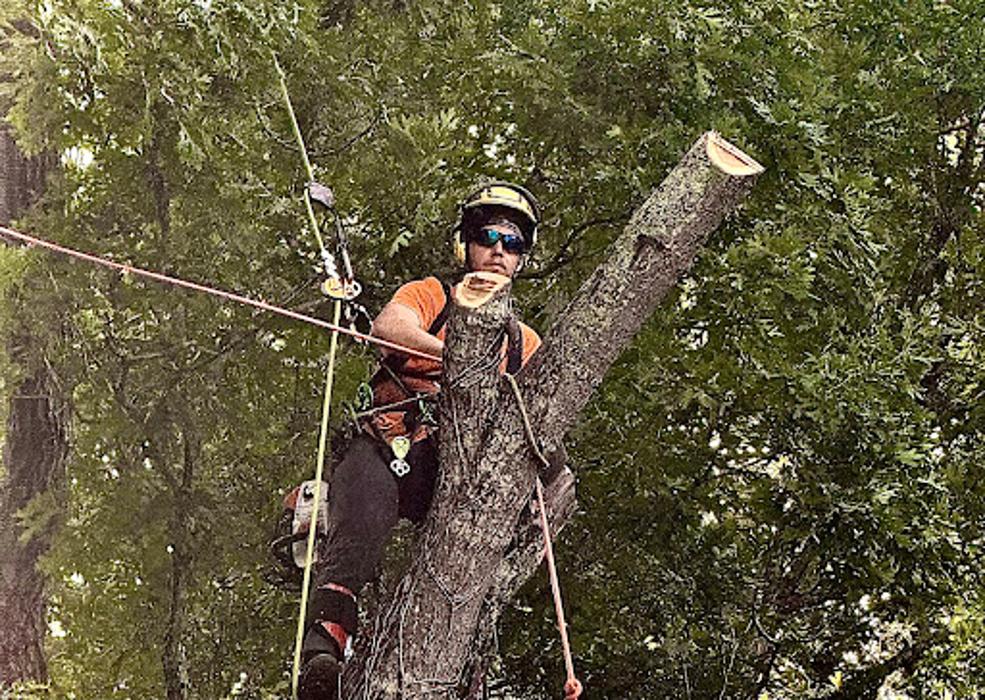 Big South Land & Tree LLC - Jefferson, GA