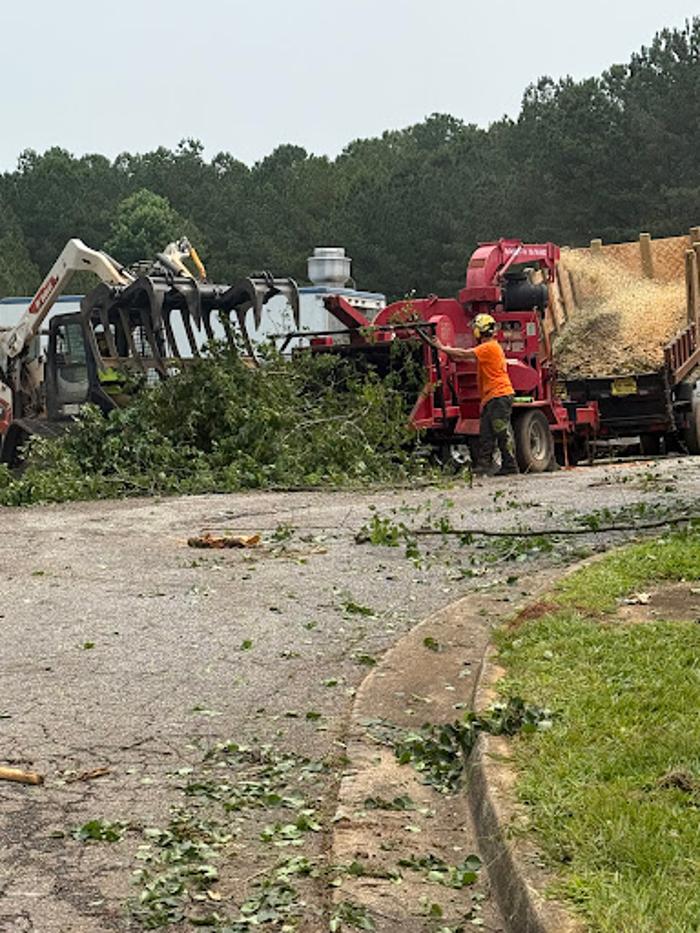 Big South Land & Tree LLC - Jefferson, GA