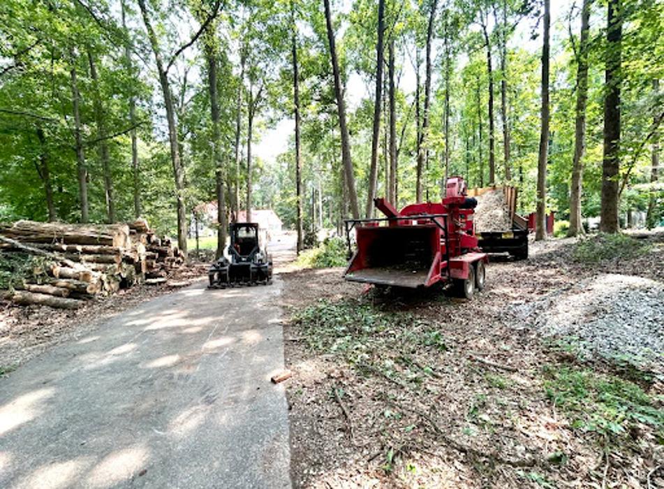 Big South Land & Tree LLC - Jefferson, GA