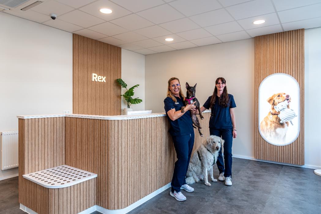 Rex Tierarztpraxis Frankfurt-Ostend, Wittelsbacherallee in Frankfurt am Main