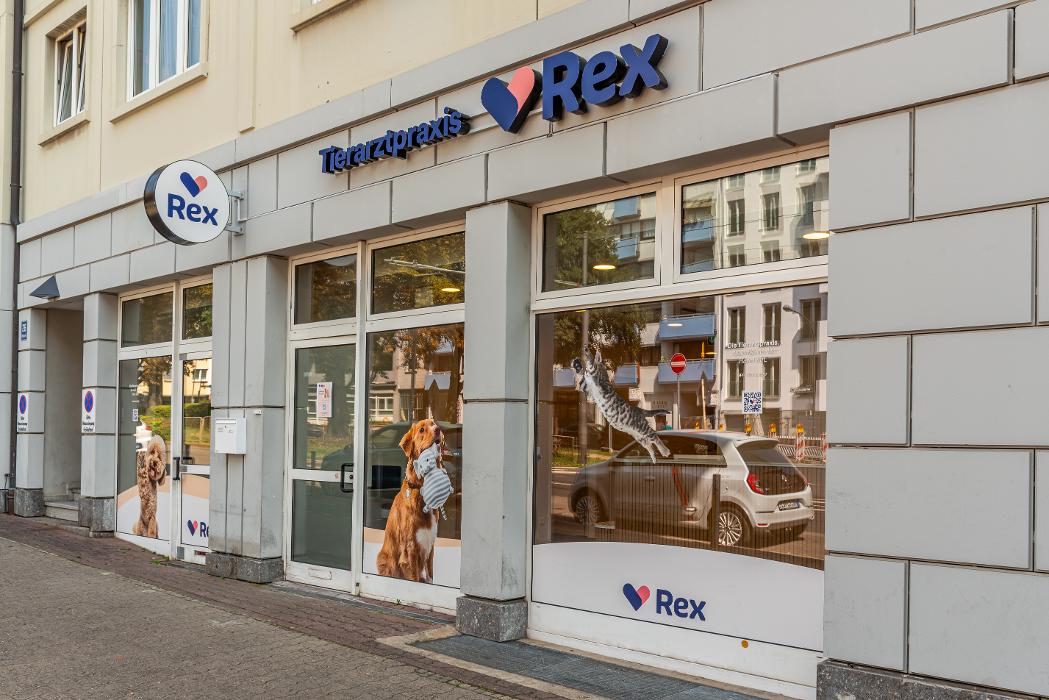 Rex Tierarztpraxis Frankfurt-Ostend, Wittelsbacherallee in Frankfurt am Main